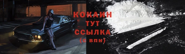гидра Нязепетровск