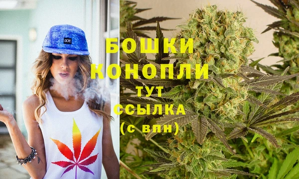 гидра Нязепетровск