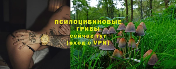 гидра Нязепетровск