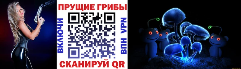 что такое мега как войти Галлюциногенные грибы Psilocybine cubensis Магнитогорск