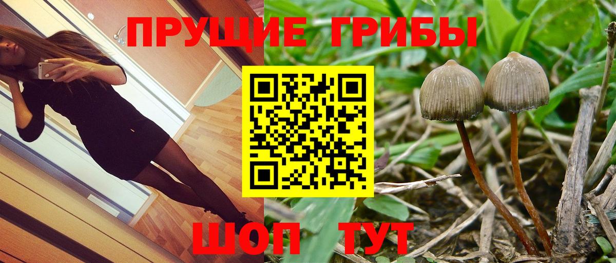 Магнитогорск  купить закладку  Вход с VPN  Галлюциногенные грибы мухоморы  Галлюциногенные грибы мухоморы 