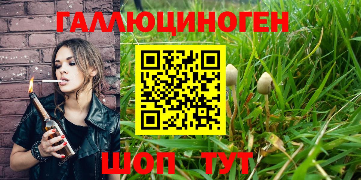 Псилоцибиновые грибы Cubensis Магнитогорск